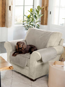 A brown dog lays on a gray furniture protector in a bright den
