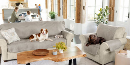 Two dogs sitting on a sofa and chair with khaki colored furniture protectors