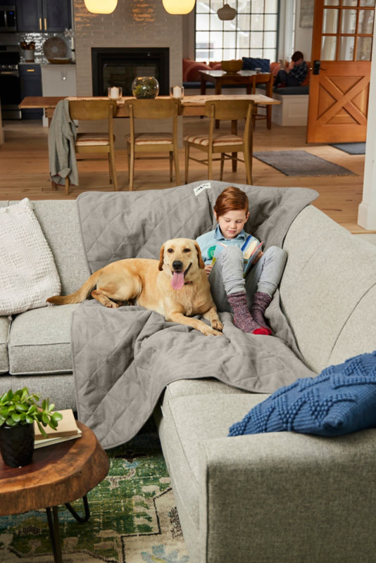 A small child and their yellow lab sitting on a gray furniture protector