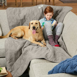 A small child and their yellow lab sitting on a gray furniture protector