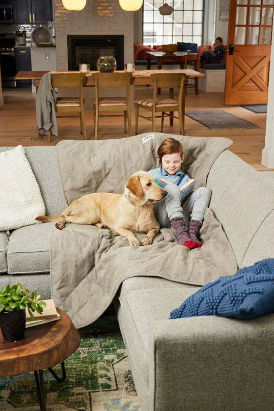 A yellow lab and a small child snuggle on a couch.