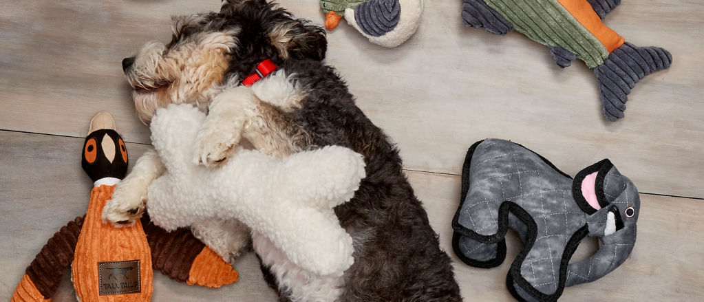 A multi-colored dog sleeping on the floor surrounded by toys.
