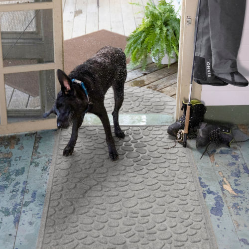 A black dog shaking dry standing on a water trapper mat