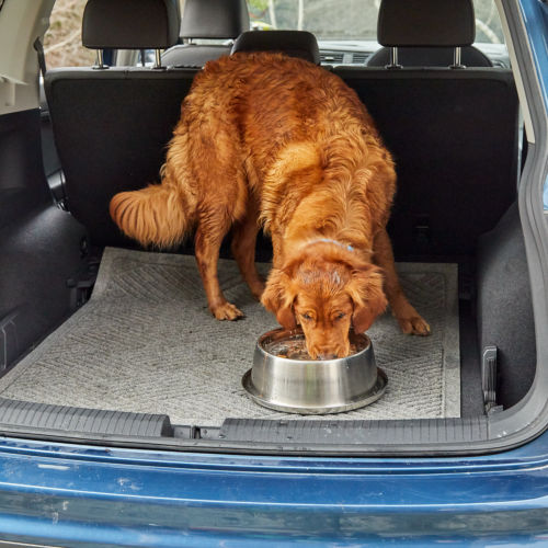 A golden retriever drinks out of a silver bowl in the back of a car.