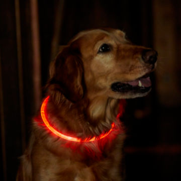 LED Rechargeable Safety Collar - image number 0
