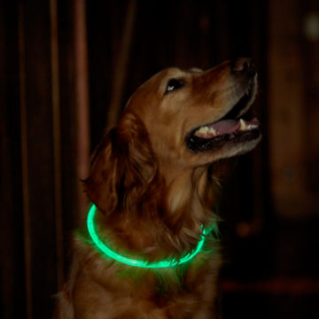 LED Rechargeable Safety Collar -  image number 2