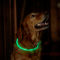 LED Rechargeable Safety Collar -  image number 2