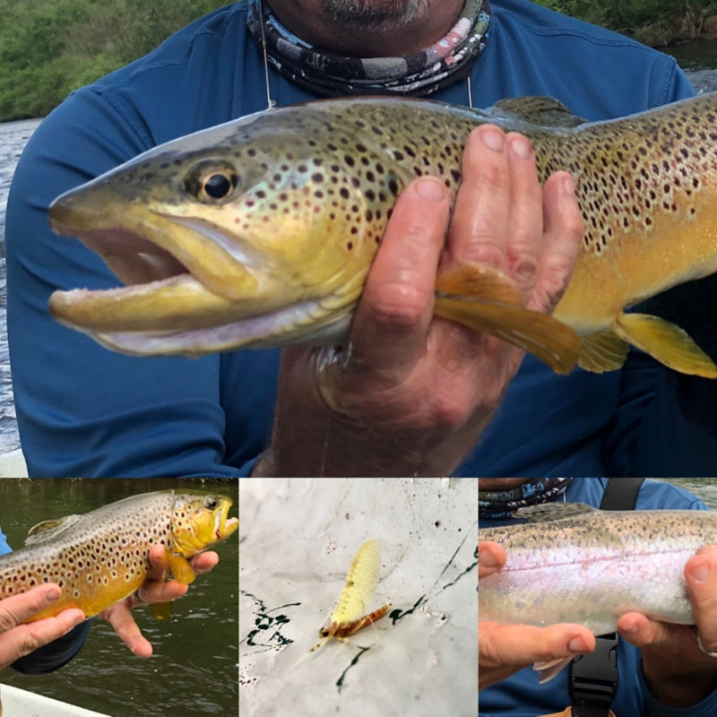 Damon Newpher Fly Fishing, NY -  image number 1