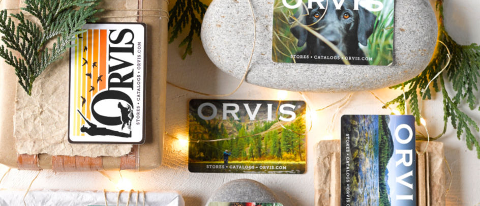 A collection of gift cards with twinkle lights, greenery, and smooth grey stones