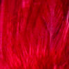 Select Saddle Hackle - RED