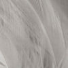 Select Saddle Hackle - DUN