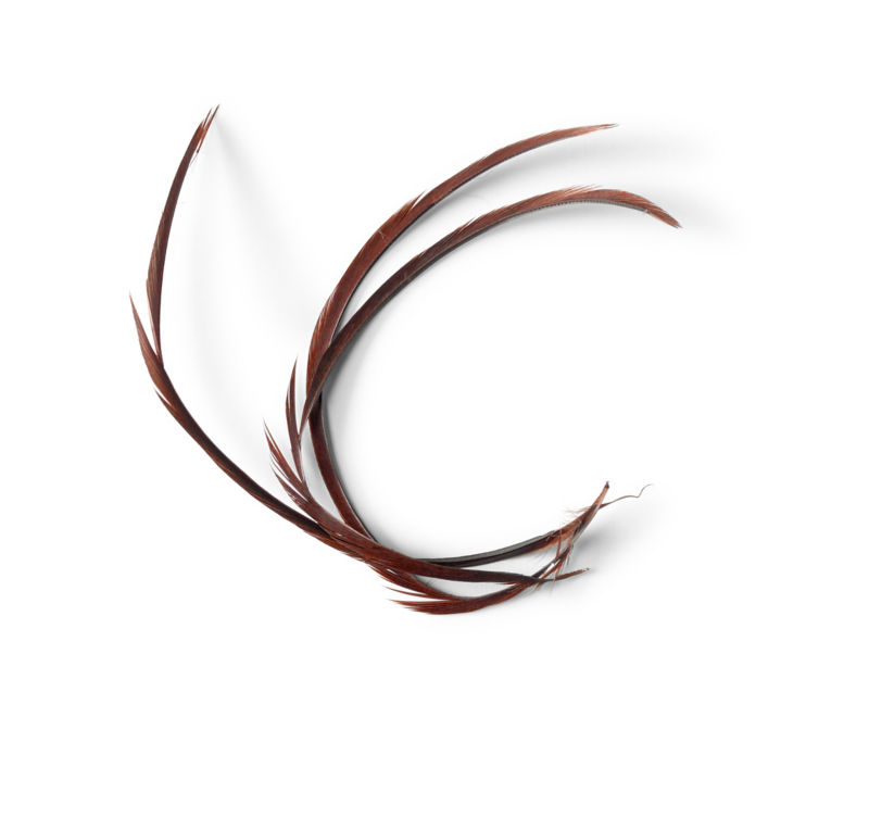 Goose Biots - BROWN image number 0