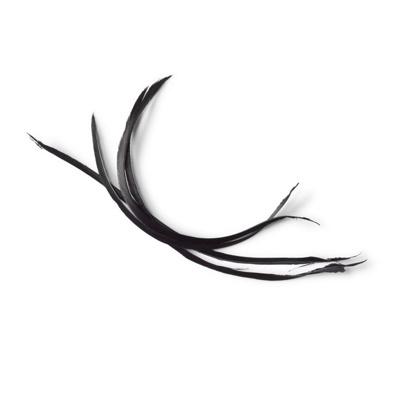 Goose Biots - BLACK image number 0