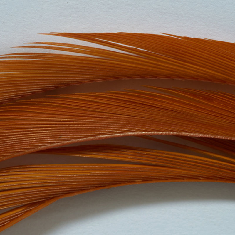 Goose Biots - AMBER image number 1