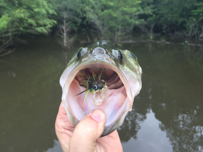 Captain Steve "Scooby" Stubbe -  image number 2