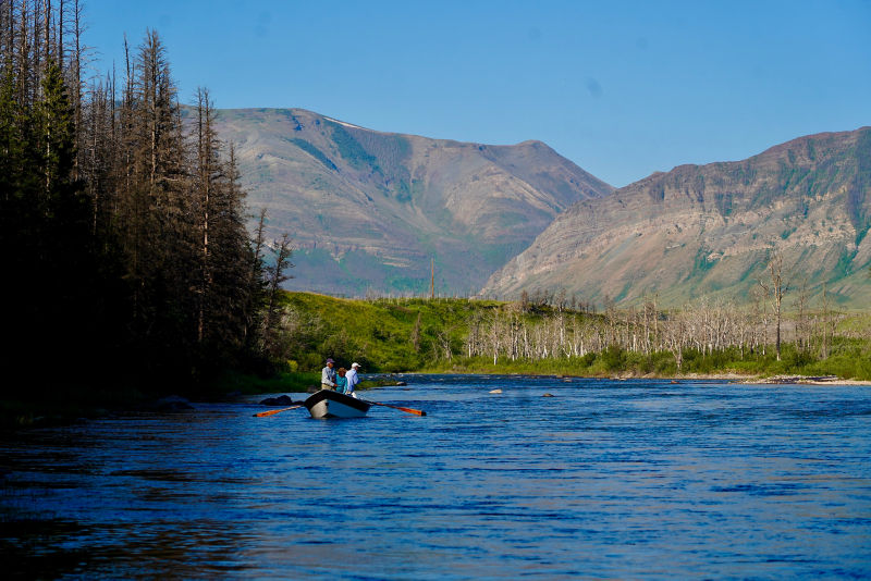 Dave Brown Outfitters - 