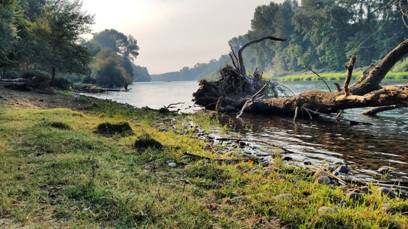 Humble Heron Fly Fishing, OR -  image number 2