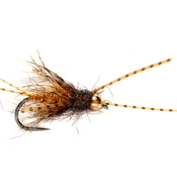 Knuckle Dragging Stonefly Nymph - 