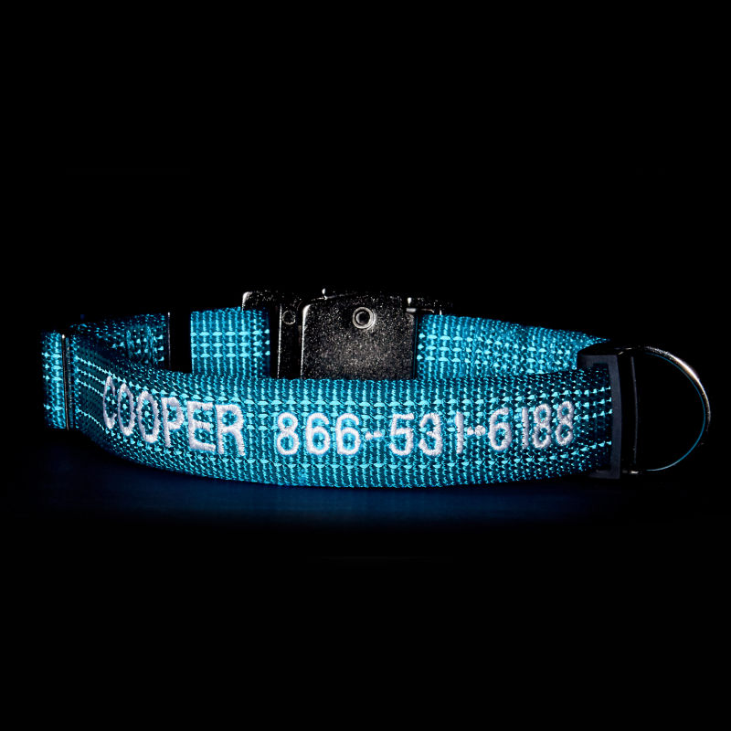 Tough Trail&reg; Dog Collar - BLUE COLLAR image number 1