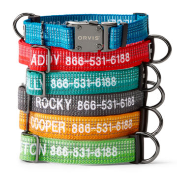 A stack of personalized dog collars.