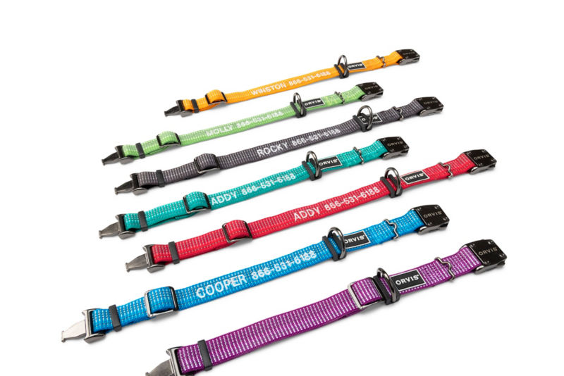 Orvis hotsell dog collars