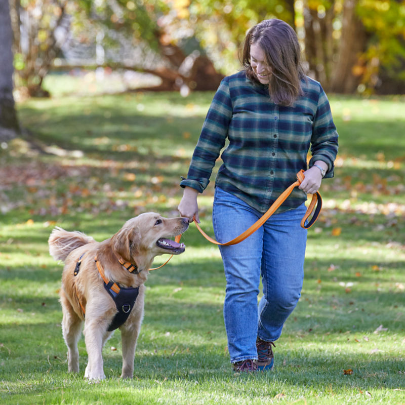 Tough Trail&reg; Dog Harness -  image number 6