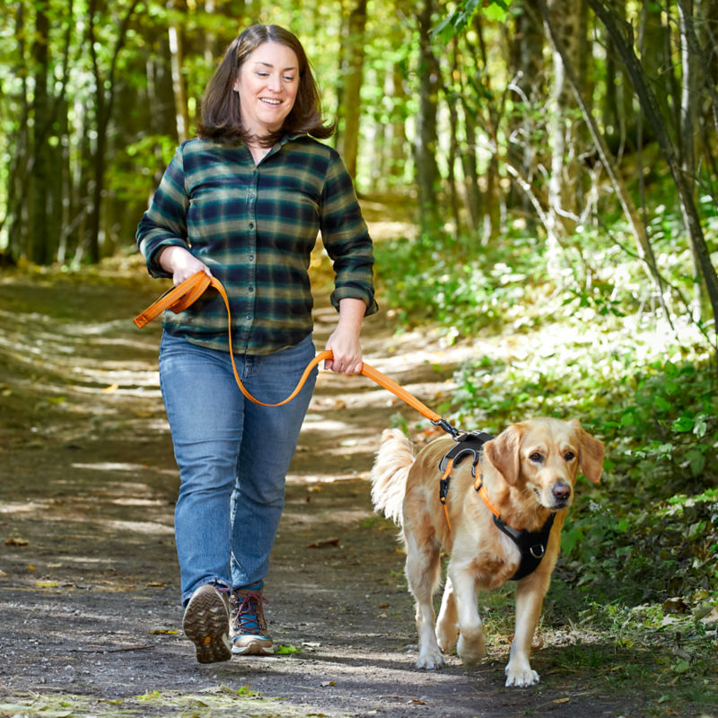 A woman walking her golden retriever on a leash in the woods