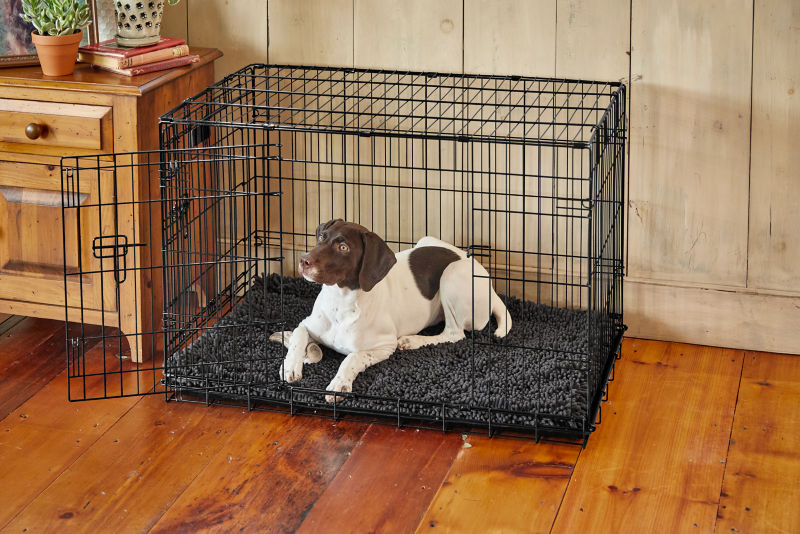 Orvis soft 2024 dog crate