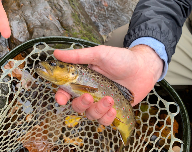 Bryan Donoway, MD -  image number 0