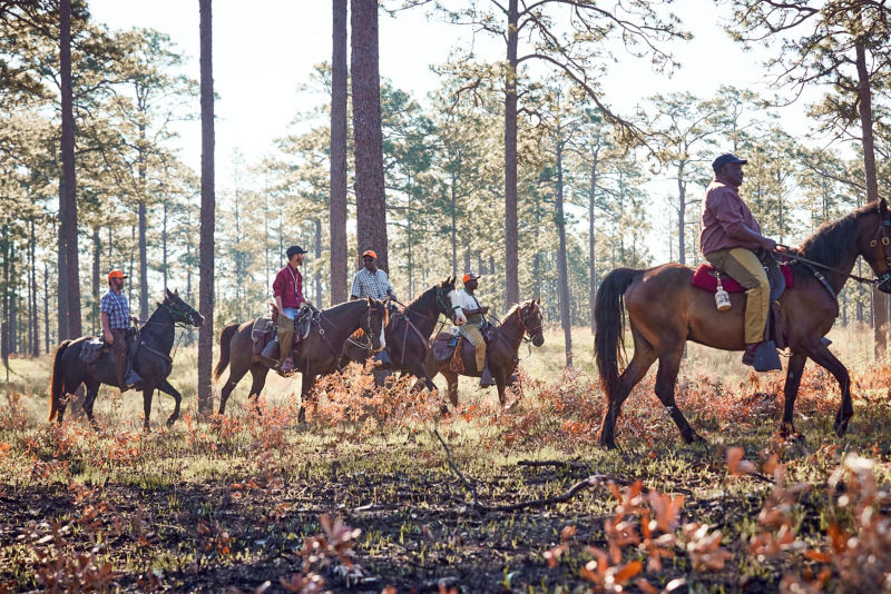 A group of 4 men on horseback in a tree-lined field.