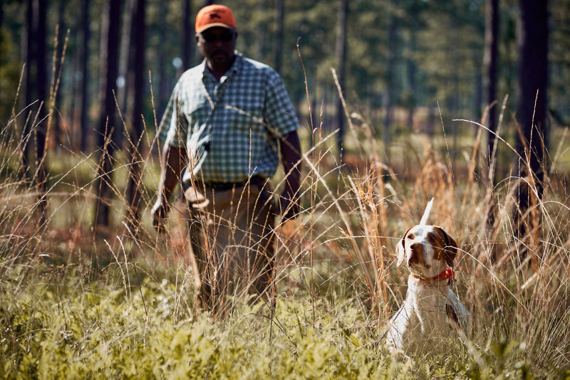 A trainer working a dog in a field.