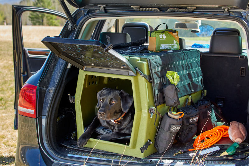 A dog in a crate in the back of a car