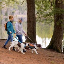 Two women and their dogs walking in the woods next to a lake