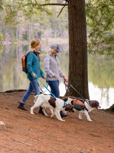 Two women hiking with two dogs in the woods on a path.