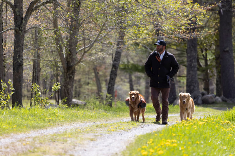 A man walking on a trail with his two dogs