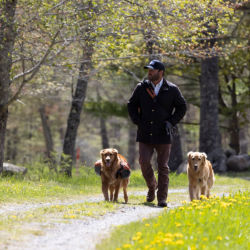 A man walking on a trail with his two dogs
