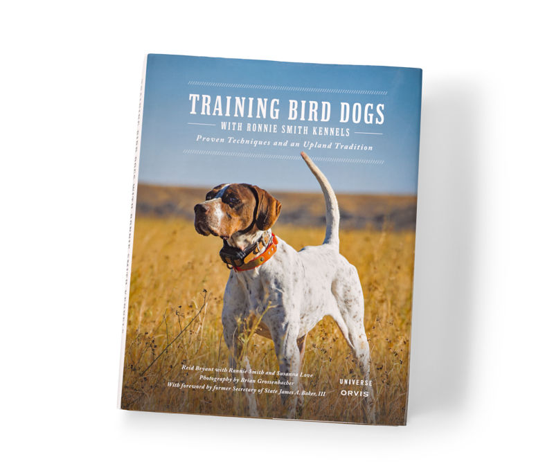 Training Bird Dogs With Ronnie Smith Kennels - 