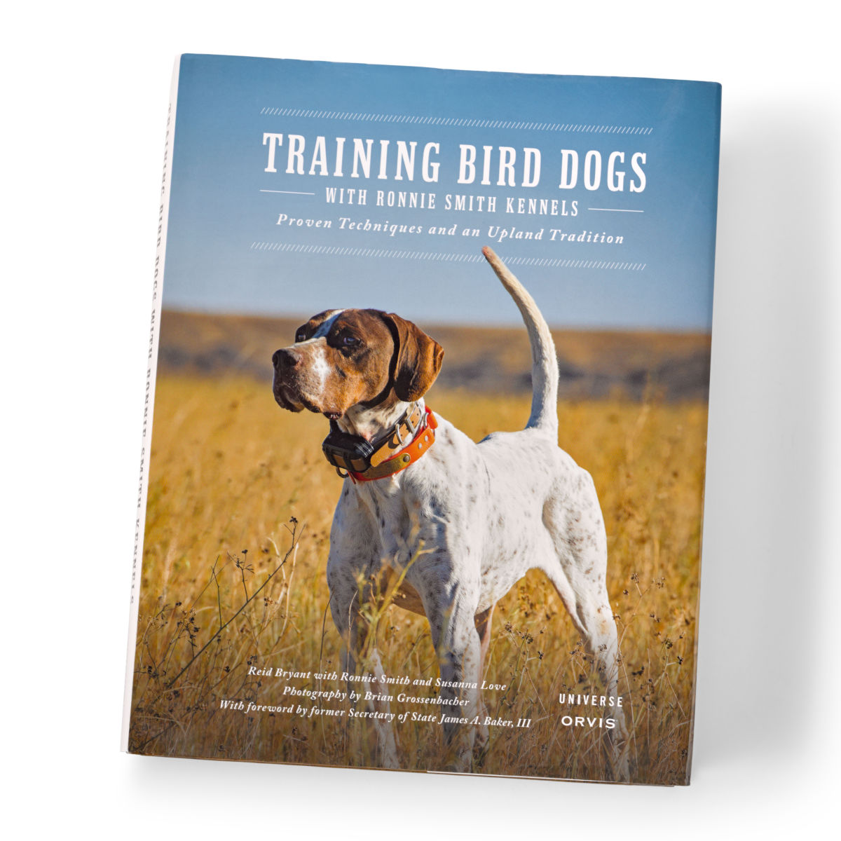 Training Bird Dogs With Ronnie Smith Kennels - image number 0