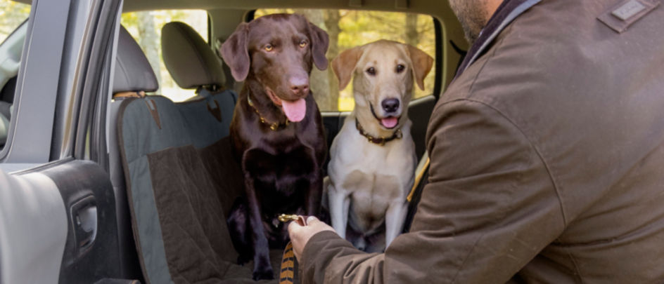Two dogs sitting in the back seat of a car on a Grip-Tight® Heritage Hammock Seat Protector