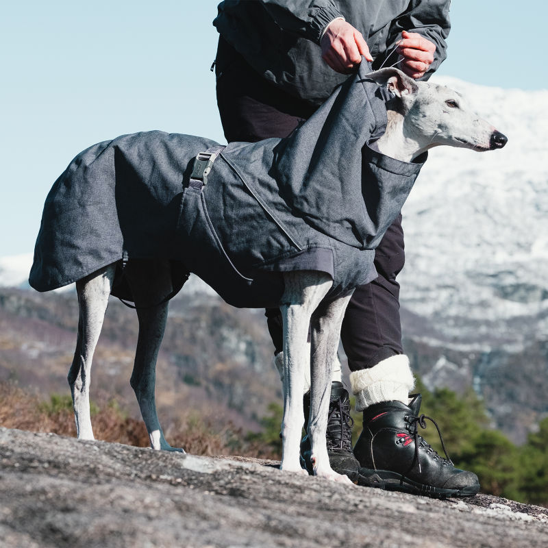 Hurtta Expedition Dog Parka | Orvis
