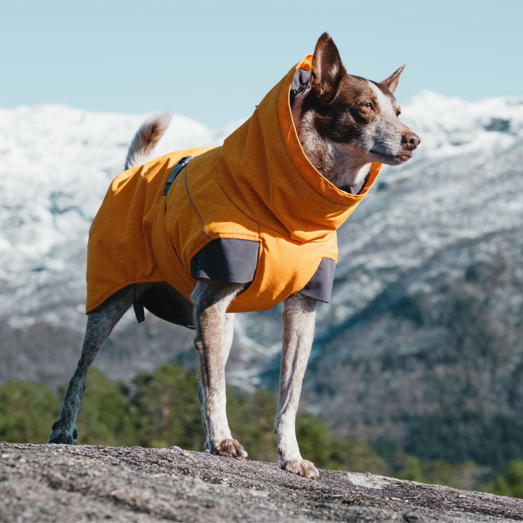 Hurtta®  Expedition Dog Parka - ORANGE image number 1