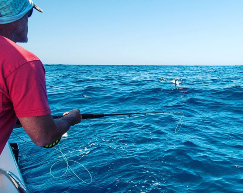 Conway Bowman -  image number 0