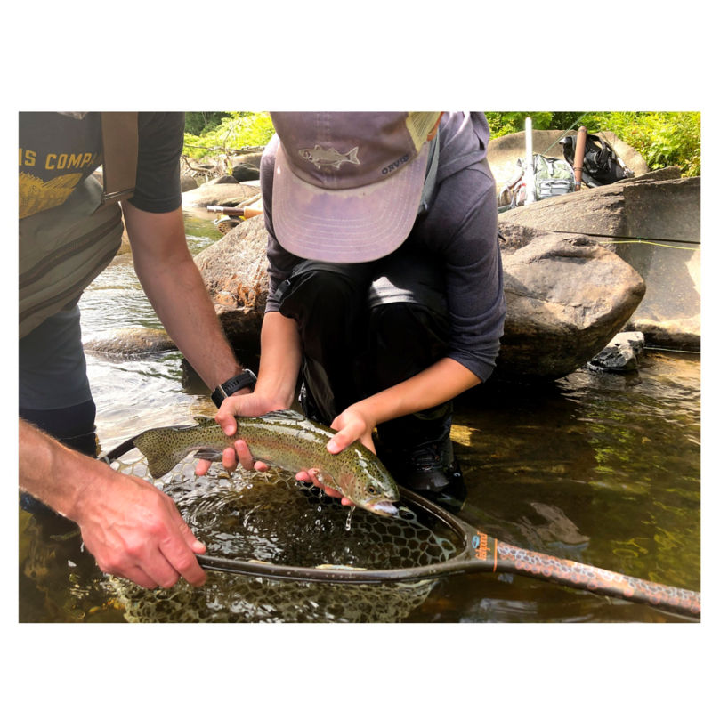 Jay Aylward -  image number 1