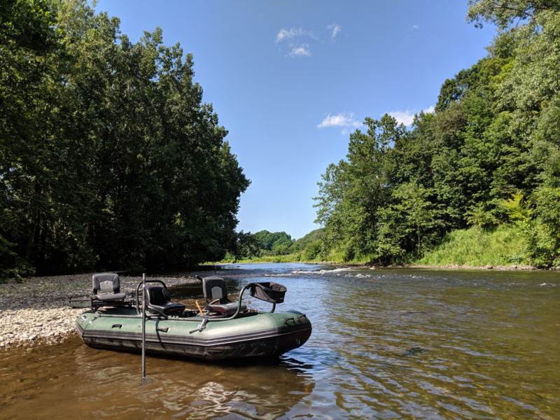 Ralph Yusavage -  image number 2