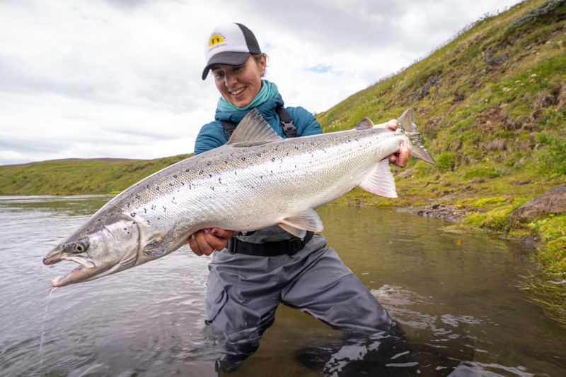 Fish Partner, Iceland -  image number 2