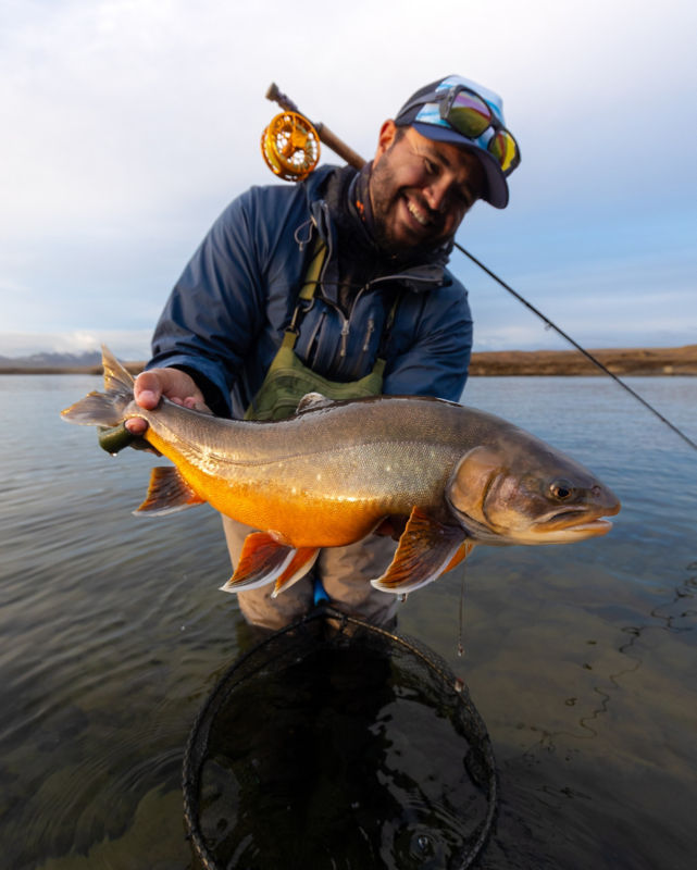 Fish Partner, Iceland -  image number 3