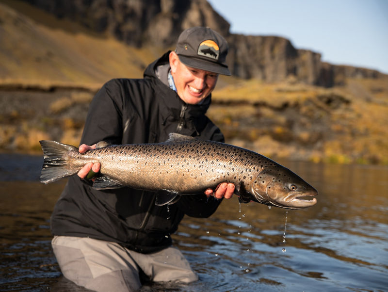 Fish Partner, Iceland - 