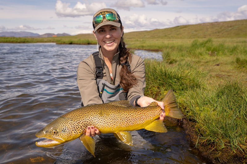 Fish Partner, Iceland -  image number 1