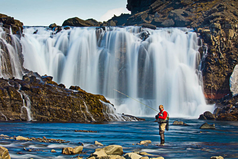 Fish Partner, Iceland - 