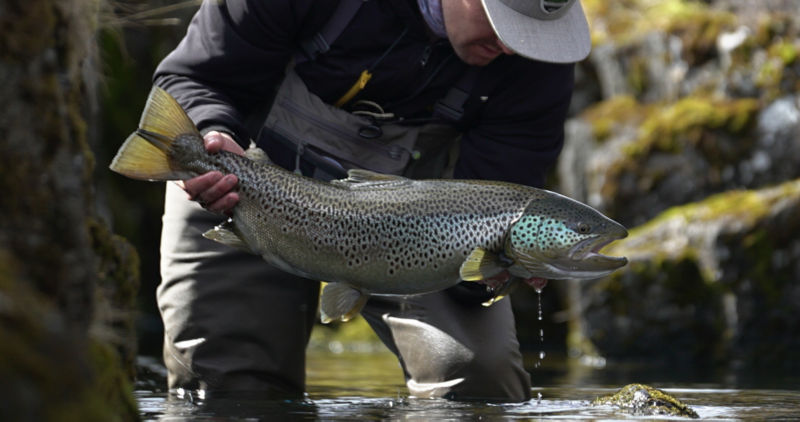 Orvis Week In Iceland With Fish Partner At Highland Lodge -  image number 1